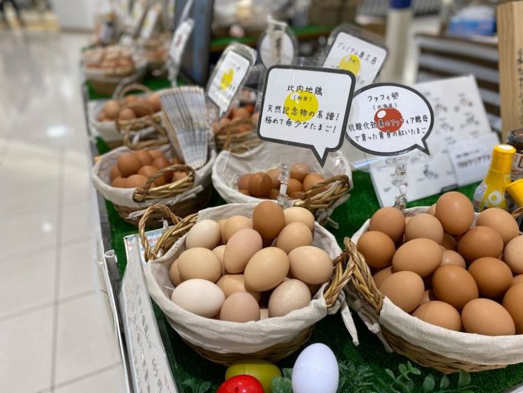 trứng gà nhật bản trứng gà nhật bản
